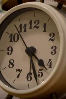 Alzheimer: há uma casa em Viseu que apoia quem vive "uma luta constante"